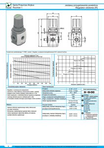 Seria Air Plus reduktor PNEUMAX