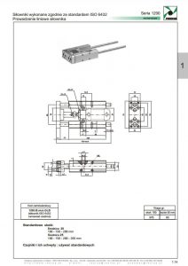 Prowadzenie do serii 1200 PNEUMAX